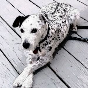 Meet your Posher, Eileen